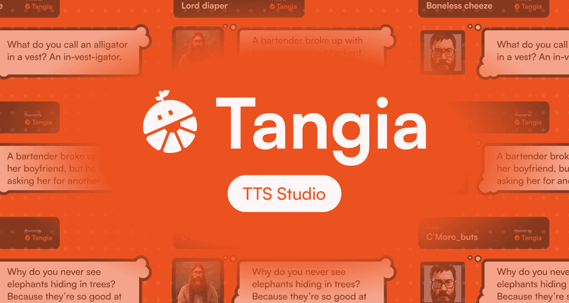 Tangia TTS Studio: Create a custom TTS in 5 minutes